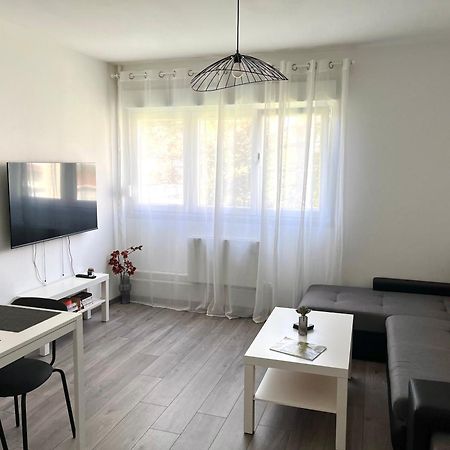 Appartement Renove - Vandoeuvre Les Nancy Buitenkant foto