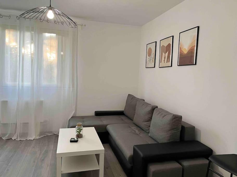 Appartement Renove - Vandoeuvre Les Nancy Buitenkant foto